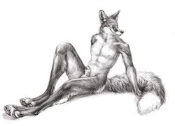 2017 animal_genitalia animal_penis anthro balls barefoot biped canid canine canine_penis claws detailed digitigrade dipstick_tail fluffy fluffy_tail fox full-length_portrait fur greyscale hi_res kenket looking_aside male male_only mammal monochrome multicolored_tail nude pawpads paws penis penis_tip portrait sheath simple_background sitting sketch smile solo white_background