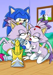 blaze the cat from sega by sonicguru