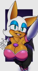 rouge the bat from sega by artist request