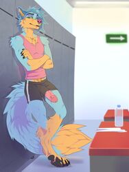 anthro bottomwear canid canine canis clothing drmax fox hi_res humanoid_penis hybrid locker_room male male_only mammal penis penis_through_leghole poking_out shorts solo teslawolfen wolf