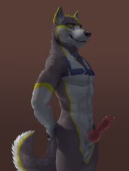 2018 animal_genitalia animal_penis anthro athletic balls canid canine canine_penis canis domestic_dog erection farad front_view fur half-closed_eyes harness hi_res husky knot looking_at_viewer male male_only mammal nordic_sled_dog nude penis portrait sheath side_view simple_background smile smirk solo spitz standing teeth three-quarter_portrait virtyalfobo