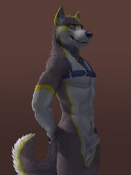 2018 animal_genitalia animal_penis anthro athletic balls canid canine canine_penis canis domestic_dog farad flaccid front_view fur half-closed_eyes harness hi_res husky looking_at_viewer male male_only mammal nordic_sled_dog nude penis penis_tip portrait sheath side_view simple_background smile smirk solo spitz standing teeth three-quarter_portrait virtyalfobo