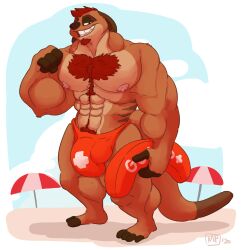 2020 4_fingers 4_toes abs absurd_res anthro anthrofied areola back_stripes balls balls_outline bara beach beard biceps big_bulge big_muscles big_pecs biped body_hair brown_body brown_ears brown_fur brown_nose brown_stripes bulge chest_hair clothed clothed_anthro clothed_male clothing cloud countershade_face countershade_fur countershade_neck countershade_torso countershading day deltoids detailed_background detailed_bulge digital_drawing_(artwork) digital_media_(artwork) dipstick_tail disney facial_hair feet fingerless_(marking) fingers fist full-length_portrait fur genital_outline grin grinning_at_viewer hair happy_trail herpestid hi_res huge_bulge huge_muscles humanoid_hands lifeguard looking_at_viewer male male_anthro mammal manly markings maxpany meerkat multicolored_body multicolored_fur muscles muscular muscular_anthro muscular_arms muscular_male narrowed_eyes nipples outside pecs penis penis_outline pink_areola pink_nipples plantigrade portrait pubes red_beard red_body_hair red_clothing red_facial_hair red_hair red_pubes red_speedo red_swimwear sand shaded signature sky smile smiling_at_viewer solo speedo speedo_only standing striped_back striped_body striped_fur stripes sunshade swimwear tail tail_markings tan_body tan_countershading tan_fur the_lion_king timon toeless_(marking) toes topless topless_anthro topless_male trapezius triceps yaoi