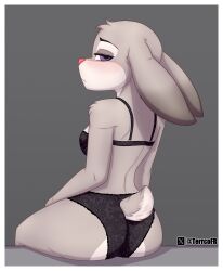 judy hopps from disney by terrcofr