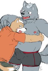 2019 anthro belly blush bulge canid canine canis clothing duo erection erection_under_clothing hi_res hug male male/male mammal moobs navel nipples overweight overweight_male shinki_k shirt simple_background topwear underwear white_background wolf