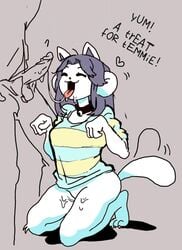 anthro anthrofied bottomless breasts clothed clothing dialogue duo english_text female female_focus hair hi_res lewdfroggo male mammal open_mouth open_smile paw_pose penis pet_play petplay smile solo_focus straight tailwag tem temmie_(undertale) text tongue tongue_out undertale video_games