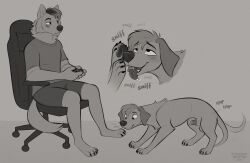 absurd_res animal_genitalia animal_penis anthro browniesnsfw canid canine canine_genitalia canine_penis canis distracted domestic_dog duo feet feral foot_fetish foot_focus foot_sniffing genitals hi_res humping male male/male mammal paws pelvic_thrust penis sniffing wolf
