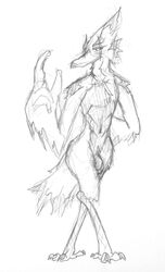 2019 anthro avian balls beak bird breath_of_the_wild charbold graphite_(artwork) hi_res male male_only monochrome nintendo nude pencil_(artwork) penis rito simple_background sketch solo the_legend_of_zelda traditional_media_(artwork) video_games white_background