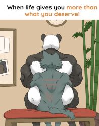 anal anal_sex anthro ass bamboo bamboo_tree bear beastars bench big_butt black_body black_fur black_text blue_body blue_fur blue_tail board bodily_fluids canid canine canis clock duo exclamation_point fur giant_panda gouhin_(beastars) hi_res holding_another implied_sex larger_penetrated legoshi_(beastars) male male/male mammal meme muscular muscular_bottom muscular_male notched_ear orange_text paper penetration photo plant rear_view scar scars_on_back sitting sitting_on_another size_difference small_top_big_bottom sweat sweaty_body tail text tree white_body white_fur wolf wolfhowl