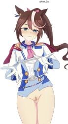 tokai teio (umamusume) from umamusume by niet zsu