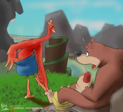 anthro avian backpack bag banjo-kazooie banjo_(banjo-kazooie) bird bodily_fluids clothed clothing drooling duo erection falseseke hi_res kazooie male mammal masturbation nude outside pants_down partially_clothed penile penile_masturbation penis rareware saliva striptease ursid video_games