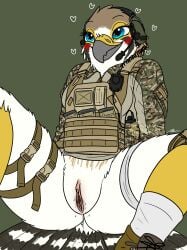 absurd_res american_kestrel anthro aroused aroused_face aroused_smile avian bedroom_eyes bird bodily_fluids boots bottomless bottomless_female bulletproof_vest camo camo_clothing camo_print clitoral_hood clitoris clothed clothing combat_boots electronics evy_(fish_birb) falcon falconid female fish_birb footwear genital_fluids genitals headgear headphones headset hi_res inviting_to_sex kestrel leg_strap magazine_(gun) military military_uniform narrowed_eyes pattern_clothing presenting presenting_vulva seductive shoes socks solo spread_legs spreading tactical_gear uniform vaginal_fluids vulva