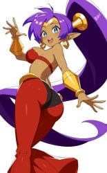 shantae (character) from shantae by revenantart