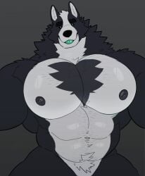 anthro bara barazoku big_pecs canine coal_(milkblend) furry looking_at_viewer male male_only milkblend muscles muscular nude pecs solo solo_male wolf