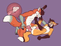 anal anal_sex anthro big_penis canid canine duo fox genitals hi_res male male/male mammal penetration penis ramaelfox sex silver_(silverpaw642) tntkl