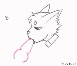 2019 animal_genitalia animal_penis animated anthro blowjob canine_penis collar deep_throat deepthroat digital_media_(artwork) disembodied_penis erection felid feline fellatio fur genitals hair knot licking luciouz_(yaku) male male_only mammal neck_bulge oral oral_penetration penile penis penis_in_mouth sex sketch tongue tongue_out tongue_out_blowjob yaku_(artist)