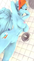 3d 3d_(artwork) anthro barely_visible_genitalia barely_visible_pussy big_breasts breasts digital_media_(artwork) equid equine feathered_wings feathers female friendship_is_magic hi_res mammal my_little_pony pterippus pussy rainbow_dash_(mlp) shower straight_hair the_fatcat wings