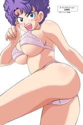 big_ass big_breasts bouncing_breasts bra cameltoe dragon_ball dragon_ball_(classic) female panties purple_hair ranfan short_hair