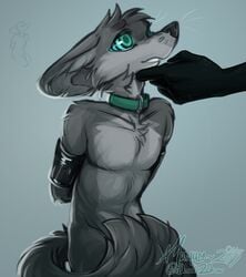 2019 ambiguous_gender animal_genitalia anthro arms_tied balls black_body black_nose black_scales bondage bondage bound canid canine collar convenient_censorship countershade_torso countershading covering disembodied_hand faceless_ambiguous fennec fluffy fox fur gradient_background green_eyes grey_background grey_body grey_countershading grey_fur half-closed_eyes half-length_portrait hand_on_chin hands_behind_back hi_res hypnosis idoodle2draw inner_ear_fluff kneeling light_bondage luku male mammal mind_control nude penis portrait scales scalie sheath signature simple_background sketch solo_focus spiral_eyes submissive submissive_male tail_censorship three-quarter_portrait tuft whiskers