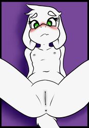 1girls anthro anus asriel asriel_dreemurr ass blush cub female female_asriel female_only flat_chest fur furry furry_only goat goat_ears goat_girl goat_horns goat_humanoid green_eyes hi_res innie_pussy nipples nude pussy rule_63 small_breasts solo spread_legs tail tinybeasts undertale undertale_(series) vagina white_body white_fur white_hair worried young