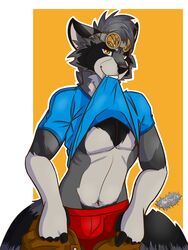 2019 absurd_res anthro blush bulge clothed clothing digital_media_(artwork) eyewear goggles hi_res kandox_tekzer looking_at_viewer male male_only mammal pose procyonid raccoon shanukk smile solo underwear