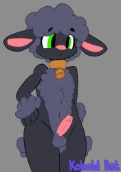 1boy absurd_res animal_humanoid anthro balls black_body black_fur black_sheep black_wool bovid bovid_humanoid bovine caprine collar collar_only erection femboy fur furry genitals girly grey_body grey_fur hi_res humanoid kobold_dat male male_only mammal mammal_humanoid nude penis sheep sheep_humanoid solo wool_(fur)