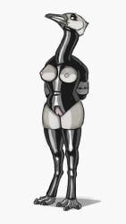 2022 3_toes adeer anthro avian avian_feet beak bird black_clothing black_legwear black_skinsuit black_stockings bound breastless_clothing breasts clothing collar countershade_breasts countershade_face countershade_legs countershading digitigrade easy_access exposed_breasts feet female genitals glistening glistening_clothing glistening_legwear glistening_skinsuit glistening_stockings grey_body hands_behind_back hands_tied hands_tied_behind_back hi_res latex latex_clothing latex_legwear latex_skinsuit latex_stockings legwear long_neck nipples non-mammal_breasts non-mammal_nipples non-mammal_pussy pink_nipples posture_collar pussy simple_background skinsuit solo species_request standing stockings tight_clothing toeless_legwear toeless_stockings toes