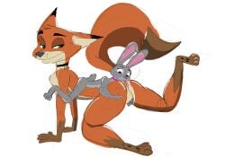 2024 anal anthro anus ass balls canid canine choker choker_only digital_media disney duo female femboy fox genitals green_eyes hi_res jewelry jewelry_only jrxt judy_hopps lagomorph leporid male male/female male_penetrated male_rimmed mammal necklace necklace_only nick_wilde nude oral penetration predator/prey purple_eyes rabbit raised_leg red_fox rimming rimming_male sex simple_background smile tail tongue tongue_out true_fox white_background zootopia