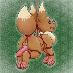 abstract_background animal_genitalia animal_penis balls bondage bondage bookabashka bound canine_genitalia canine_penis eevee eyewear feral generation_1_pokemon genitals glasses hi_res knot male nintendo penis penis_backwards pokemon pokemon_(species) red_rope restraints rope rope_bondage rope_harness solo suspension