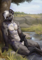 2019 4_toes 5_fingers abs anthro athletic balls bedroom_eyes black_body black_fur black_nose black_penis chunie claws cloud detailed_background digital_media_(artwork) erection eyebrows fingers fur grass grey_body grey_fur grey_spots hair half-closed_eyes hi_res humanoid_penis hyaenid looking_at_viewer male male_only mammal nature navel nude outside partially_retracted_foreskin partially_submerged paws pecs penis raised_eyebrows reclining rock seductive sky smile smirk smug solo spots spotted_hyena teal_eyes toes tree uncut water white_body white_fur white_hair