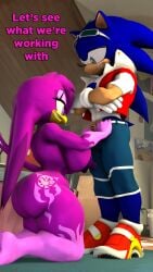 3d 3d_(artwork) anthro areolae ass big_breasts bluewyvern breasts breats female furry hands_on_pants interested male male/female mobian_(species) nipples on_knees sonic_(series) sonic_the_hedgehog sonic_the_hedgehog_(series) thicc thighs wave_the_swallow