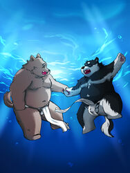 2016 anthro asian_clothing balls belly bulge canid canine canis clothing domestic_dog duo east_asian_clothing fundoshi humanoid_hands inunoshippo japanese_clothing male male_only mammal moobs navel nipples overweight overweight_male underwater underwear water