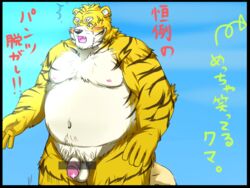 2012 anthro balle belly blush felid humanoid_penis inunoshippo japanese_text male male_only mammal moobs nipples overweight overweight_male pantherine penis solo text tiger