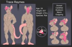 anthro barefoot biped breasts brown_body brown_fur color_swatch female front_view fur hair looking_at_viewer mammal model_sheet multiple_angles murid murine muscular muscular_female nude open_mouth pink_hair pussy rat rear_view ritts rodent simple_background small_breasts smile solo standing toes trace_(character)