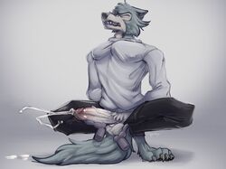 beastars bodily_fluids canid canine canis closed_eyes crouching cum disembodied_hand drooling eggubboyo_(artist) erection feet genital_fluids handjob hands_behind_back humanoid_penis legoshi_(beastars) male male_only mammal orgasm orgasm_face paws penile penis saliva sex teenager wolf young