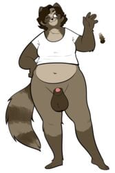 1futa 2019 5_fingers animal_genitalia anthro belly big_belly big_tail big_testicles bottomless brown_body brown_fur brown_hair canine chubby clothed clothing color_swatch eyewear fingers fully_sheathed fur furry futa_only futanari glasses gynomorph hair intersex magnetiorchid mammal navel neck_tuft original_character penis penis_tip raccoon_dog sheath shirt simple_background solo source_request tanuki testicles thick_thighs thigh_gap topwear tuft white_background wide_hips