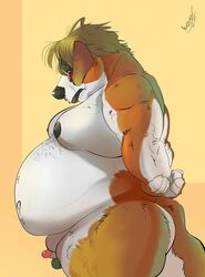 ass belly big_belly black_nipples blush canid canine hair hi_res humanoid_penis male mammal moobs nipples nude obese overweight overweight_male penis raivenderouthelion_(artist) small_penis solo