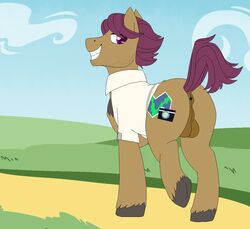 /d/non anus ass backsack balls bottomless clothed clothing equid equine feral horse looking_at_viewer looking_back male mammal my_little_pony pony presenting presenting_hindquarters snap_shutter_(mlp) solo