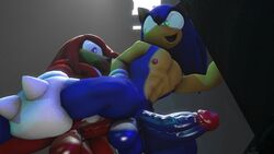 anal anal_sex gay hb-edstar knuckles_the_echidna male/male male_only sonic_(series) sonic_the_hedgehog source_filmmaker