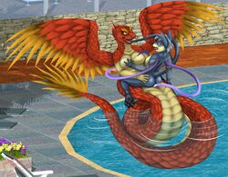 absurd_res anthro feathers female female/female hi_res public quetzalcoatl smartwhitefang swimming_pool wings ych_(character) yuri