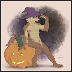 2019 anthro border canid canine clothed clothing digital_media_(artwork) eyebrows food fruit fur halloween hat headgear headwear hi_res holidays jack-o'-lantern kusy looking_at_viewer magic_user male male_only mammal nude partially_clothed plant pumpkin simple_background solo weers witch