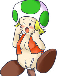 toad (mario) from mario (series) by amakawa ginga