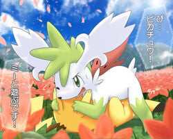 69 ambiguous/ambiguous face_fucking japanese_text nintendo one_eye_closed pemyu pikachu pokémon_(species) pokemon pokemon_(species) pokemon_only shaymin shaymin_(sky_form) sweat