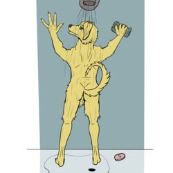 1:1 2019 absurd_res anthro balls bird_dog body_hair bojack_horseman canid canine canis deriviera digital_media_(artwork) domestic_dog fur hi_res hunting_dog labrador male male_only mammal mr._peanutbutter nude presenting retriever shower simple_background soap solo wet