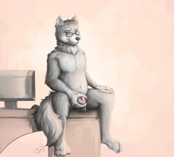 2019 animal_genitalia animal_penis anthro balls biped black_nose bodily_fluids canid canine canis digital_media_(artwork) eyewear fluffy fur genital_fluids glasses grey_body grey_fur grey_sheath hair hi_res licking licking_lips long_fur looking_at_viewer male male_only mammal monitor nude penis penis_tip precum sheath simple_background sitting smile solo tongue tongue_out tuft twymouse viss_valdyr wolf