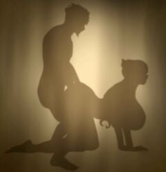 brighid_(xenoblade) clothes clothes_on_floor clothes_removed cloverdraw04 implied_sex implying rex_(xenoblade) silhouette silhouette_background silhouette_sex xenoblade_(series) xenoblade_chronicles_(series) xenoblade_chronicles_2 xenoblade_chronicles_3