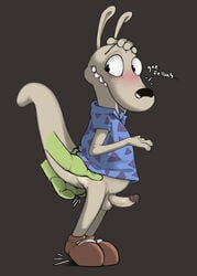 male male_only marsupial narse no_humans rocko rocko's_modern_life rocko_rama