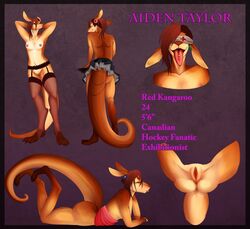 aiden_taylor anthro breasts clothing ear_piercing female front_view gauged_ear genital_piercing kangaroo legwear macropod majorra mammal marsupial nipple_piercing nipples piercing pussy pussy_piercing rear_view solo stockings tongue tongue_piercing