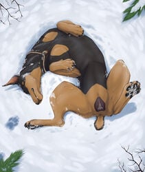 anatomically_correct anatomically_correct_pussy animal_genitalia animal_pussy anus canid canine canine_pussy canis dobermann domestic_dog dorosheva-e female feral lying mammal on_back outside pawpads paws pinscher pussy snow solo