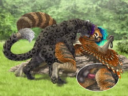 2019 anthro anthro_on_feral anthro_penetrated anus avian balls black_body black_fur black_spots blue_hair brown_body brown_feathers brown_fur collar day detailed_background feathered_wings feathers felid feline female female_penetrated feral feral_penetrating feral_penetrating_anthro fur grass grey_body grey_fur gryphon hair leash leopard male male_penetrating male_penetrating_female mammal outside pantherine penetration penis pussy sabretoothed_ermine spots spotted_body spotted_fur straight wings zoophilia